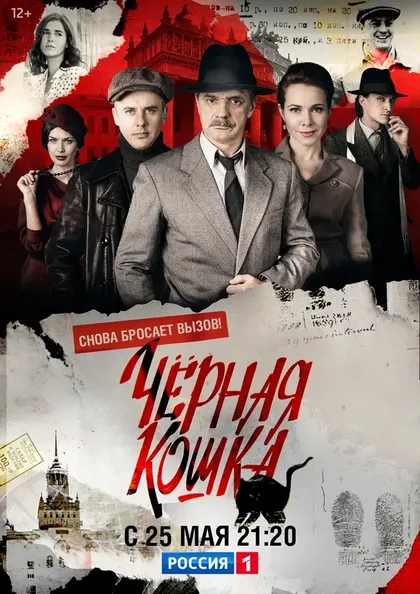 Постер Черная кошка (2016)